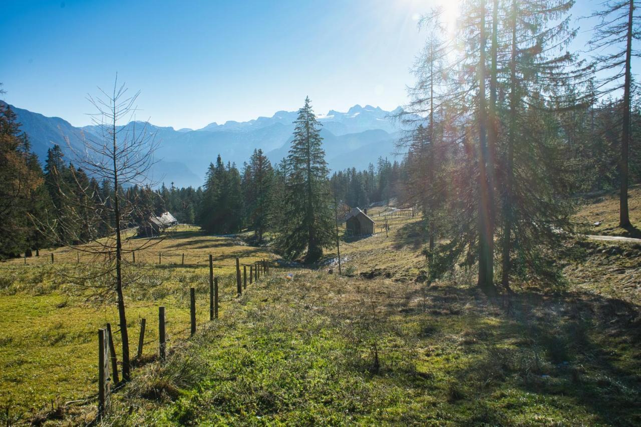 Ferienwohnung Stoablick - Barrierefrei Mit Bergblick Bad Goisern Kültér fotó